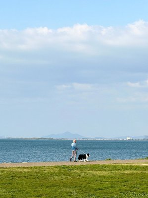 🏞️ 오쓰 호숫가 나기사 공원(오쓰코간 나기사 코엔)